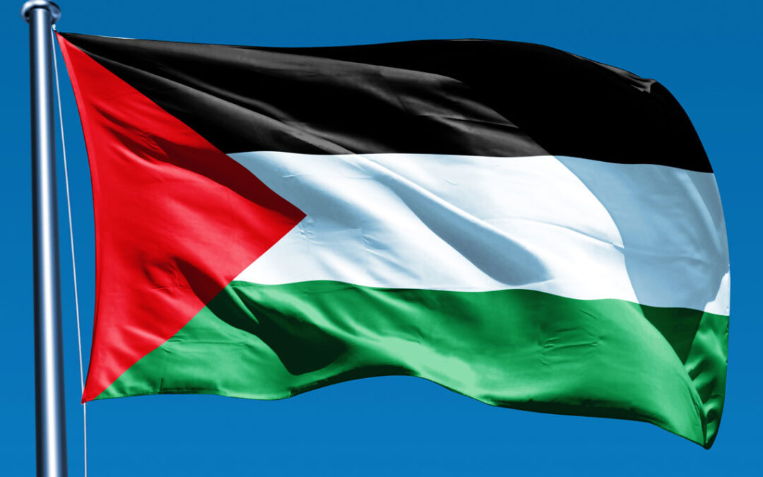 Important day for Palestine; Proud day for Ireland